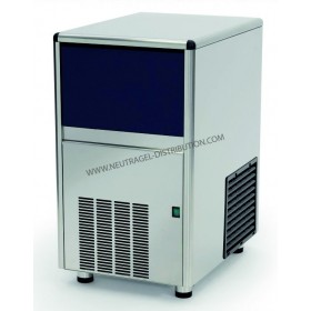 Machine à glaçe paillette 600 W